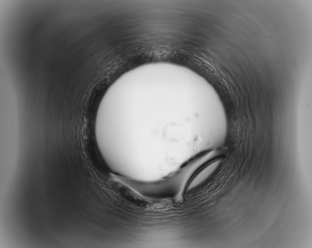 X0000095930750200802081216