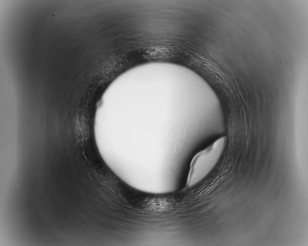 X0000095930751200802081216