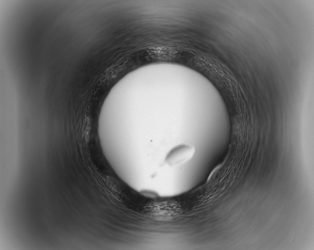 X0000095930752200802081216