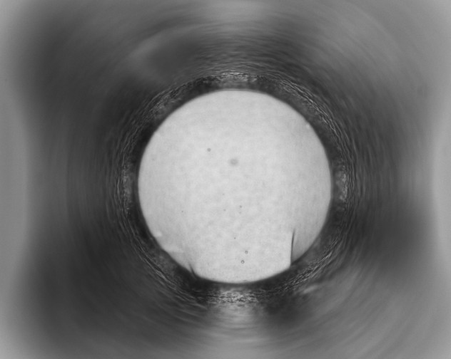 X0000095930753200802081216