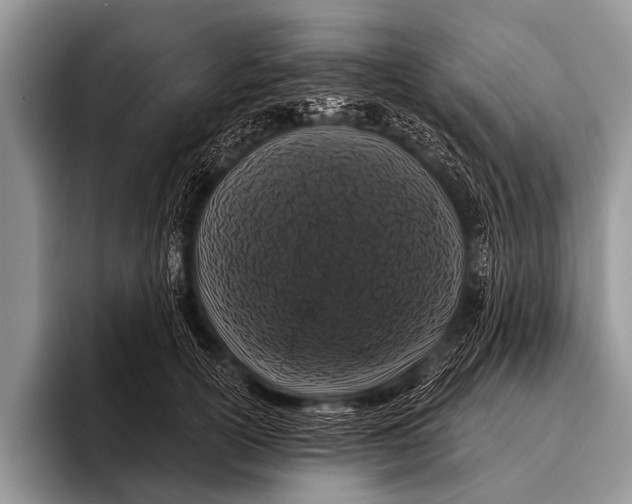 X0000095930754200802081216