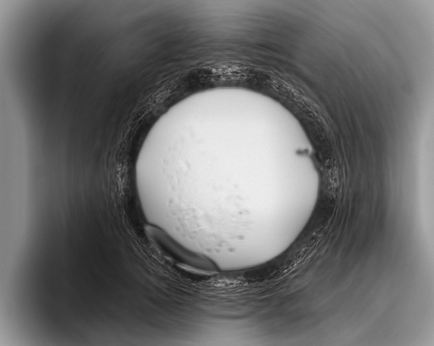 X0000095930756200802081216