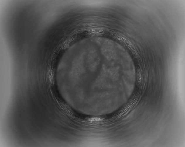 X0000095930759200802081216