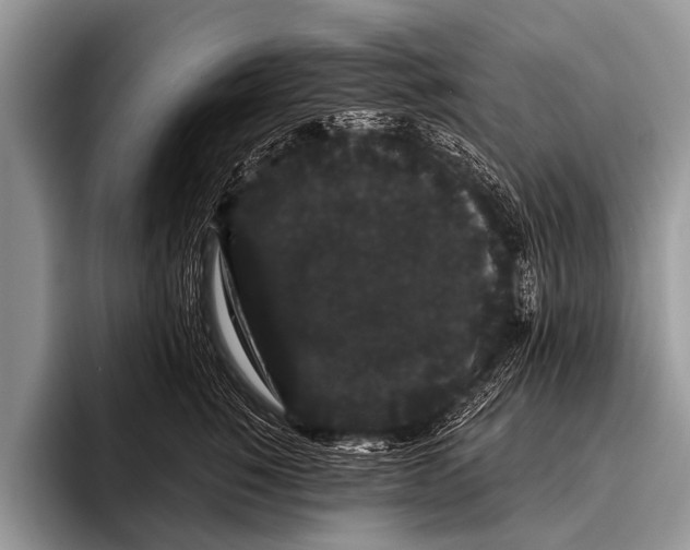 X0000095930760200802081216