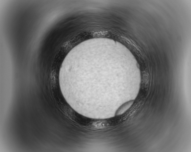 X0000095930761200802081216