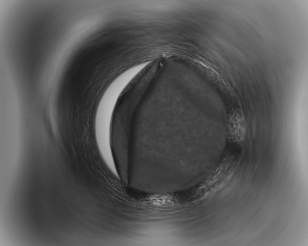 X0000095930762200802081216