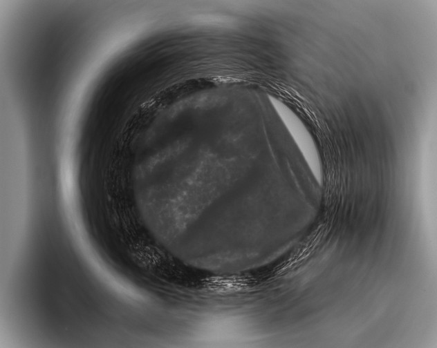 X0000095930763200802081216