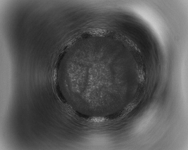X0000095930767200802081216