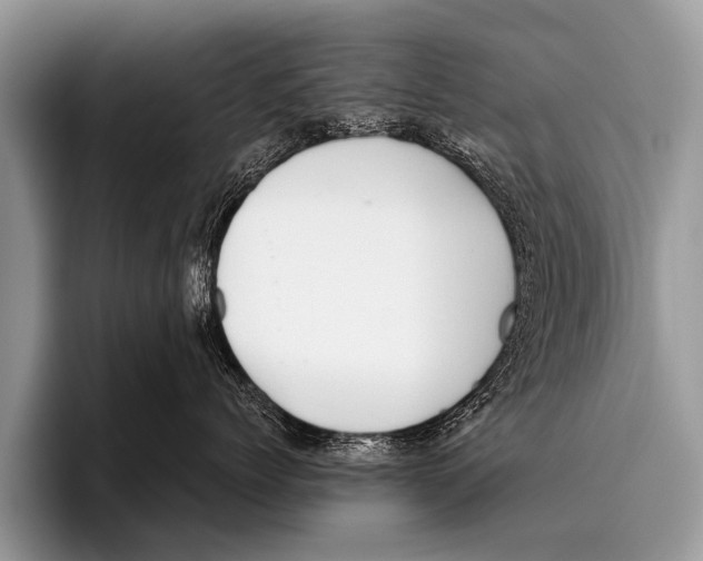 X0000095930768200802081216