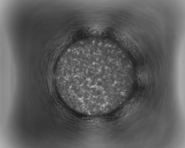 X0000095930769200802081216