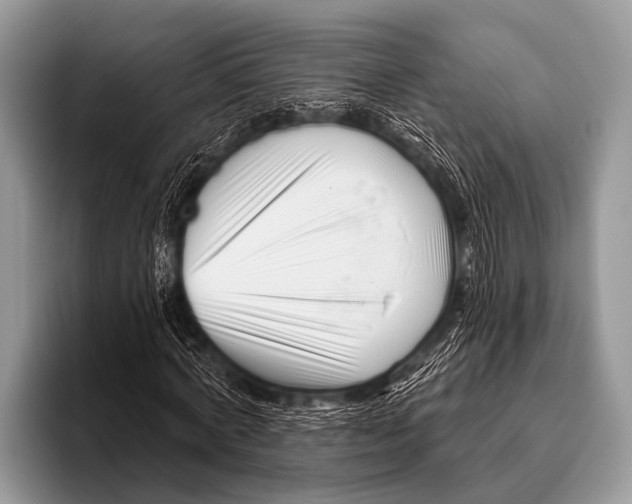 X0000095930772200802081216