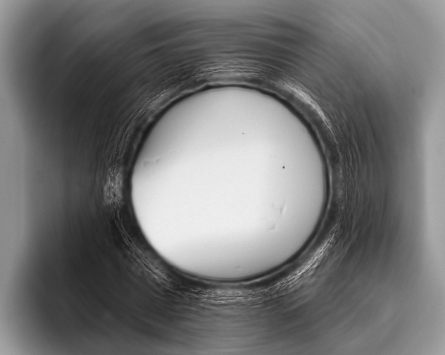 X0000095930777200802081216