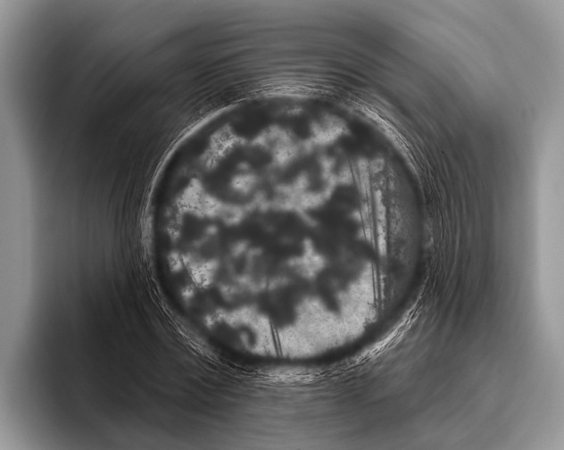 X0000095930779200802081216