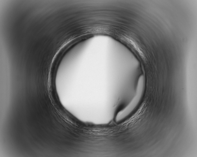X0000095930780200802081216