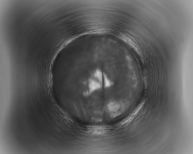 X0000095930781200802081216