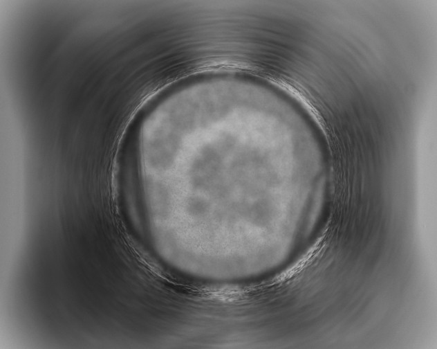 X0000095930783200802081216