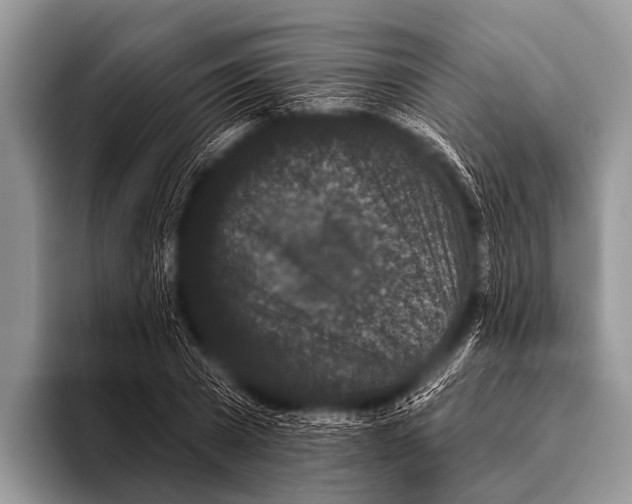 X0000095930785200802081216