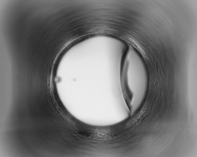X0000095930788200802081215
