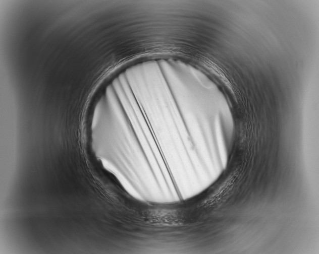 X0000095930789200802081215