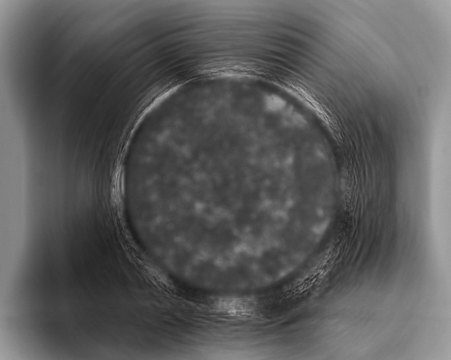 X0000095930790200802081215