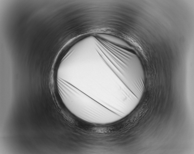 X0000095930792200802081215