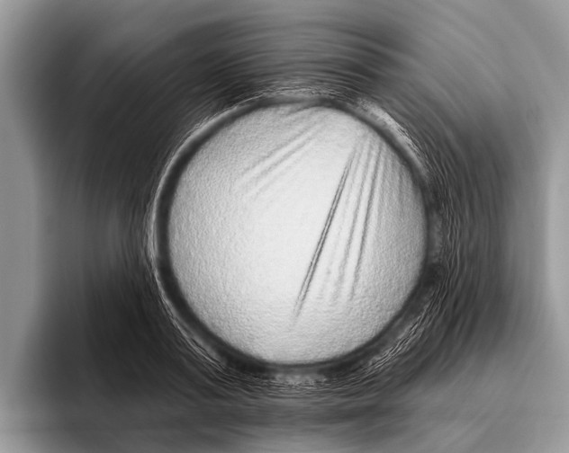 X0000095930795200802081215