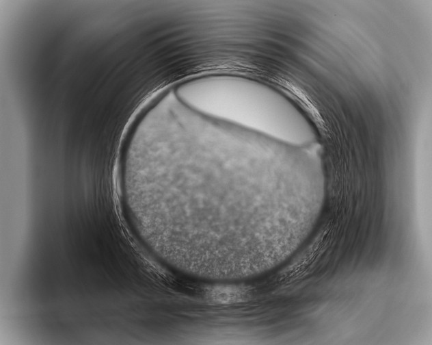 X0000095930796200802081215