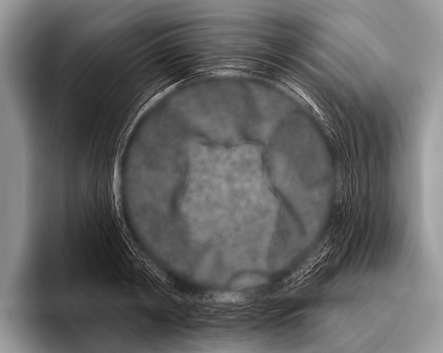 X0000095930798200802081215