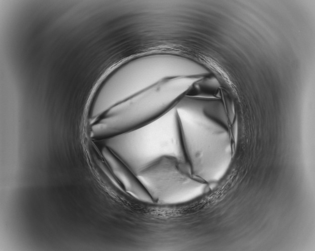 X0000095930800200802081215