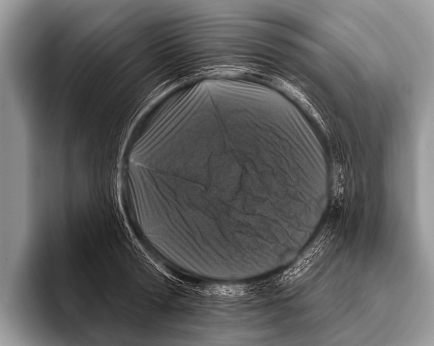 X0000095930802200802081215