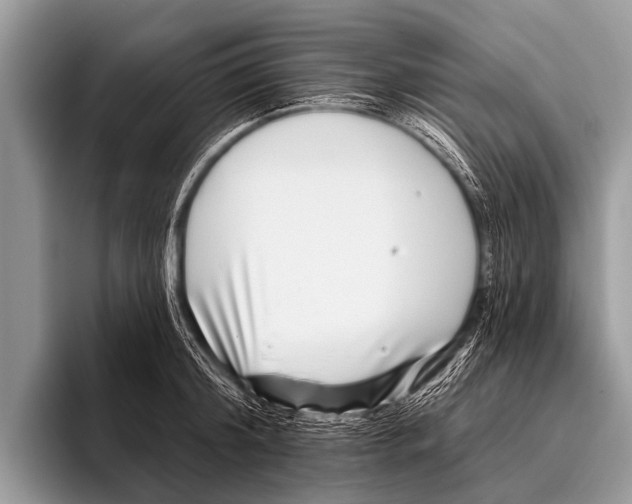 X0000095930804200802081215
