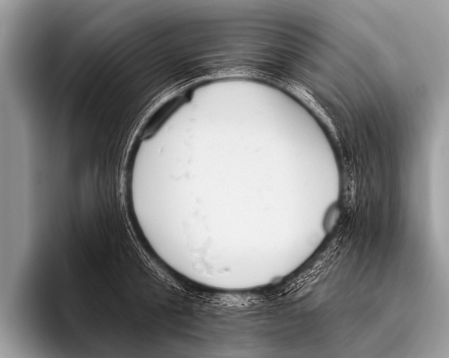 X0000095930805200802081215