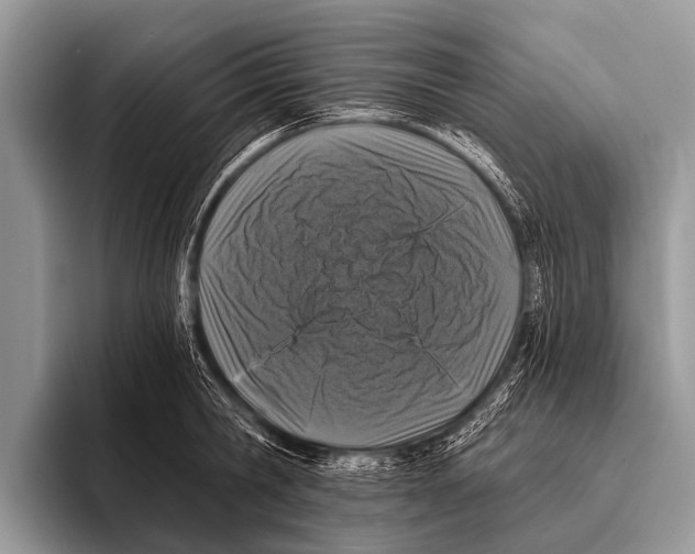 X0000095930806200802081215