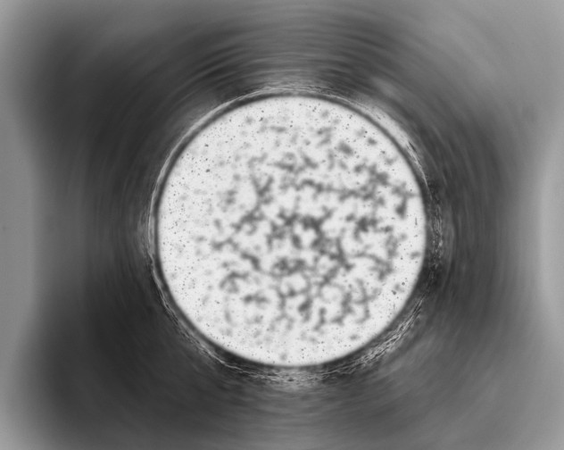 X0000095930807200802081215