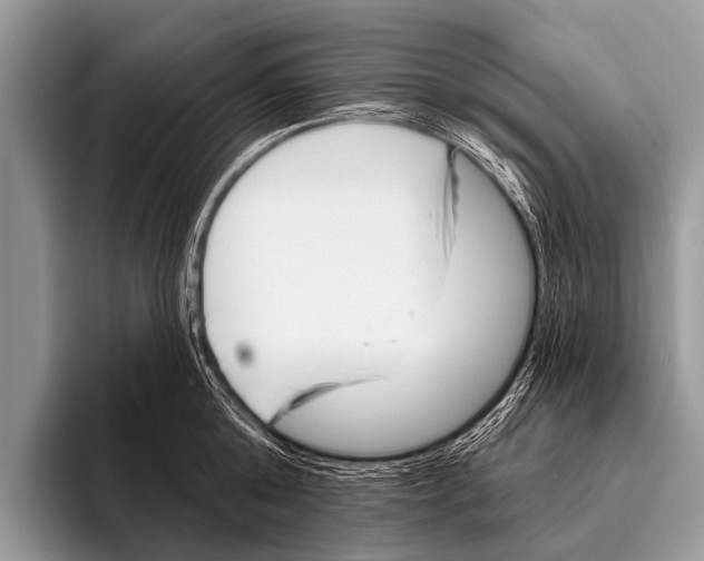 X0000095930808200802081215