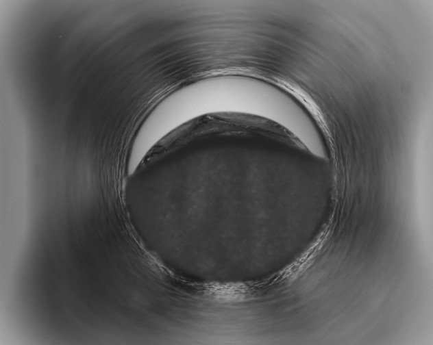 X0000095930809200802081215