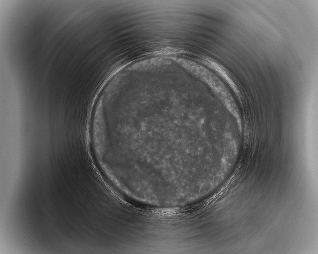 X0000095930810200802081215