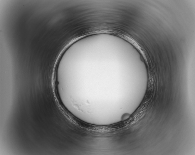 X0000095930811200802081215