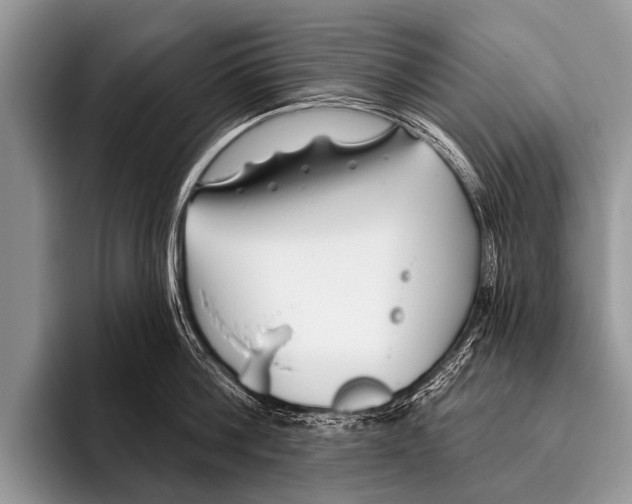 X0000095930812200802081215