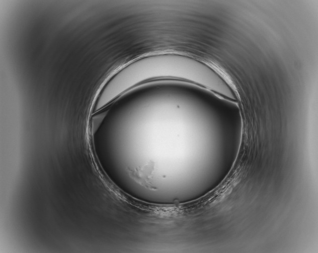 X0000095930813200802081215
