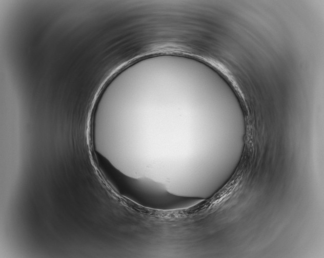 X0000095930815200802081215