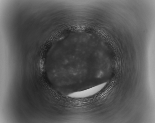 X0000095930818200802081214