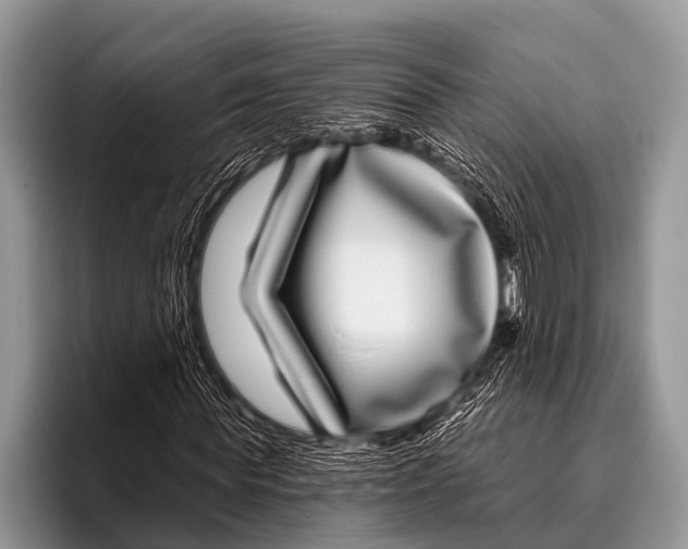 X0000095930819200802081215