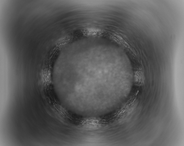 X0000095930820200802081215