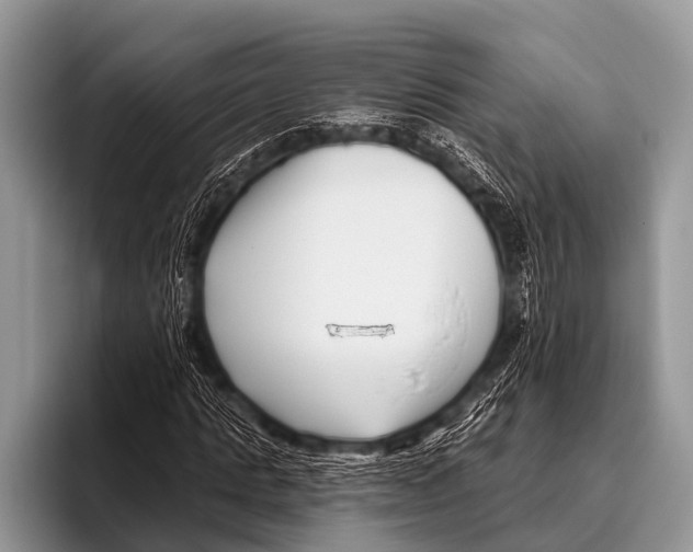 X0000095930821200802081215