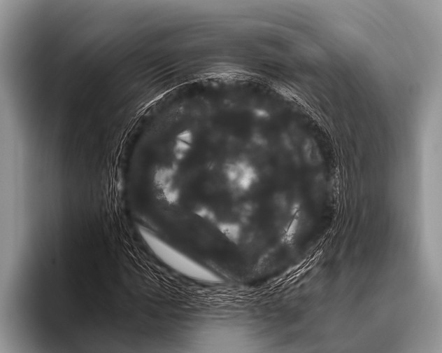 X0000095930822200802081215