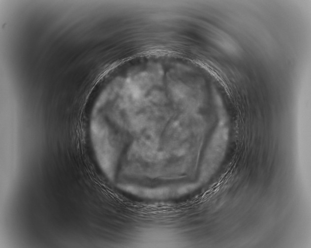 X0000095930823200802081215