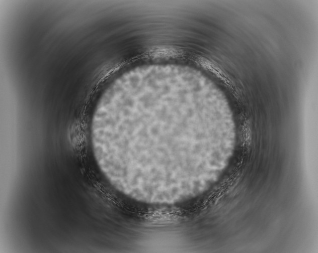 X0000095930824200802081215