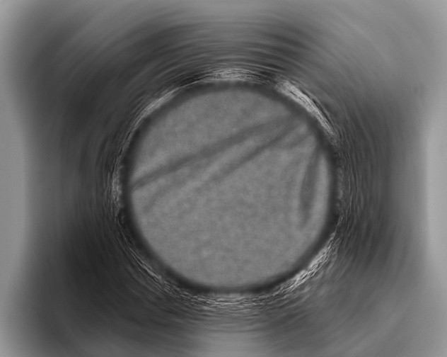 X0000095930826200802081215