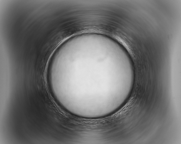 X0000095930828200802081215